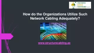 how do the organizations utilize such network cabling adequately