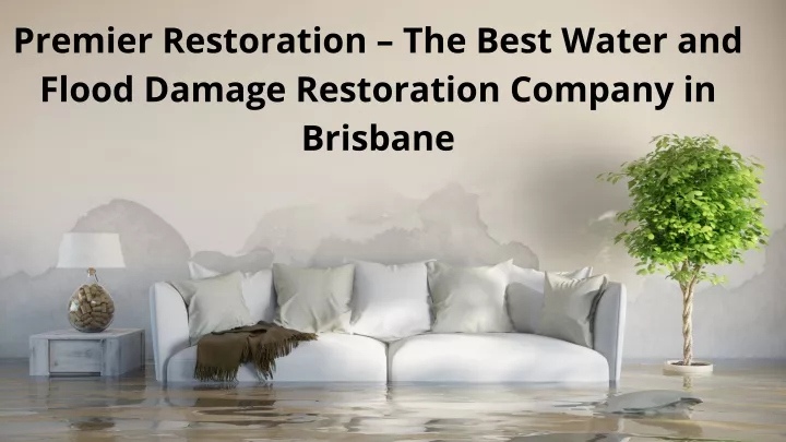 premier restoration the best water and flood