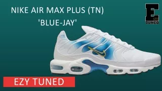 Shop Nike Air Max Plus (Tn) 'Blue-Jay'