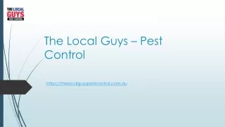 Termite Treatment Perth | Thelocalguyspestcontrol.com.au