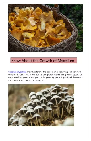 Know About the Growth of Mycelium