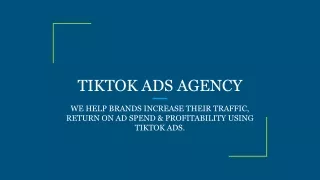 TIKTOK ADS AGENCY