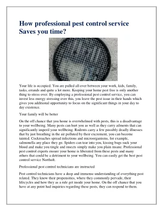how professional pest control service saves
