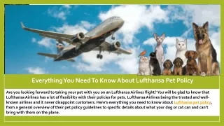 Everything You Need To Know About Lufthansa Pet Policy: Here's All Details