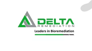 Delta Remediation 2022 Highlights