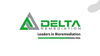 leaders in bioremediation