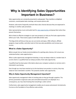 why is identifying sales opportunities important