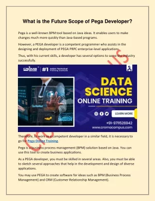 what is the future scope of pega developer