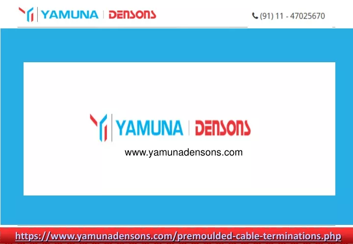 www yamunadensons com