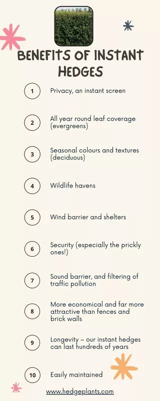 benefits of instant hedges privacy an instant