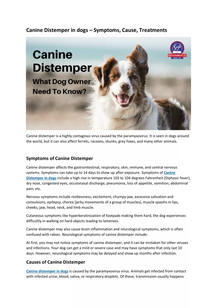 Ppt - Canine Distemper In Dogs - Symptoms, Cause, Treatments Powerpoint 