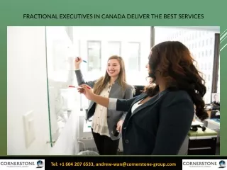 Fractional Executives in Canada deliver the best services