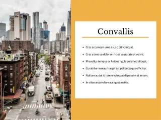 convallis