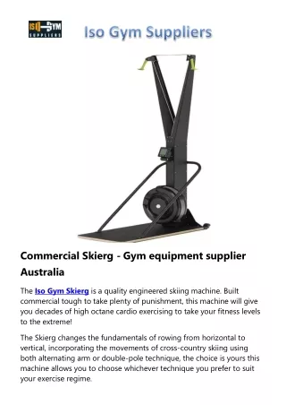 Commercial Skierg - Cardio Equipment