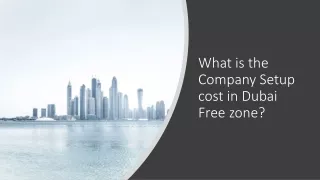 What is the Company Setup cost in Dubai Free zone