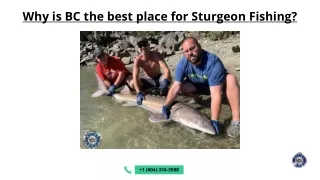 Why is BC the best place for Sturgeon fishing? - Kilby Lodge