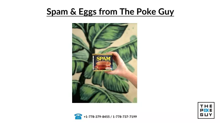 spam eggs from the poke guy