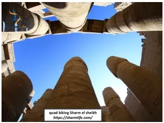 Quad Biking Sharm el Sheikh