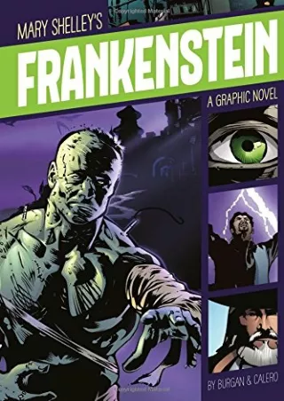 Frankenstein Graphic Revolve Common Core Editions