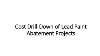 Cost Drill-Down of Lead Paint Abatement Projects