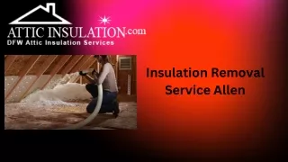 Insulation Removal Service Allen