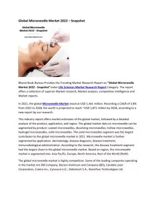 global microneedle market 2022 snapshot
