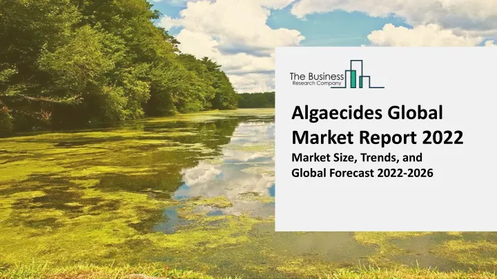 algaecides global market report 2022 market size
