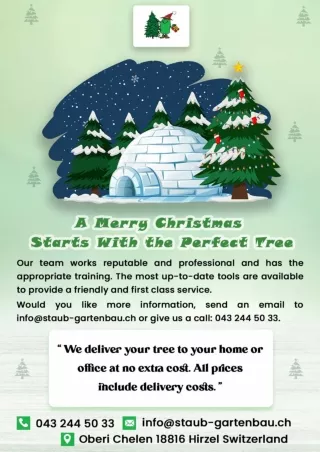 Order christmas Tree zurich | free delivery christmas tree zurich
