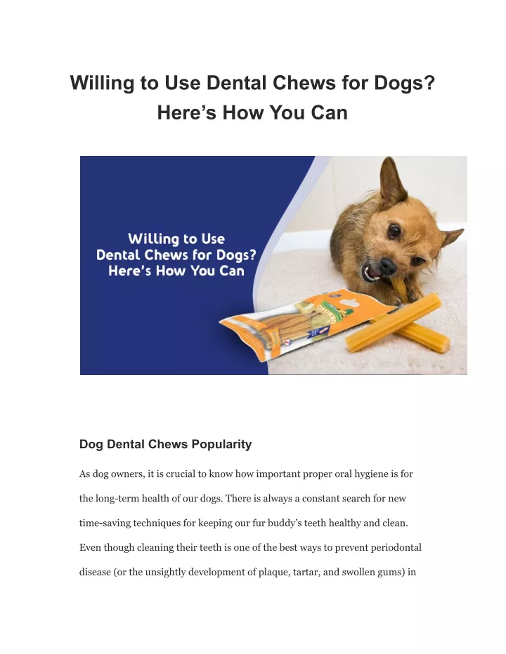 willing to use dental chews for dogs here