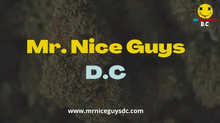 mr nice guys d c