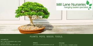nurseries near Worcestershire for plants