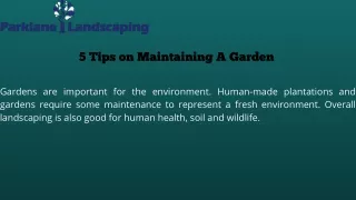 5 Tips on Maintaining A Garden