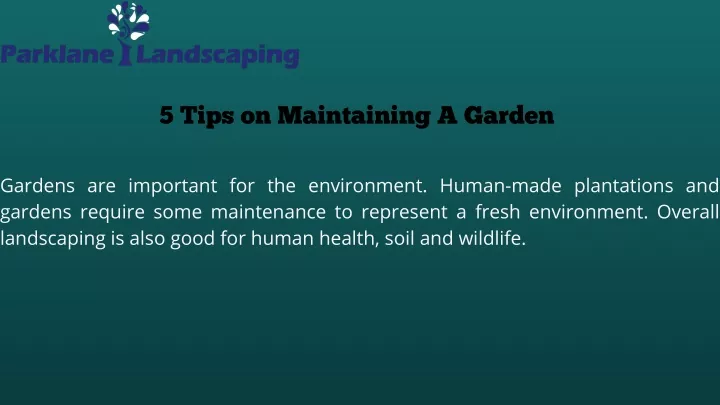 5 tips on maintaining a garden gardens