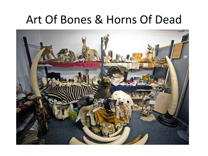 art of bones horns of dead