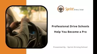 Professional Drive Schools Help You Become a Pro