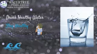Get The Best Dream Tree Alkaline Water