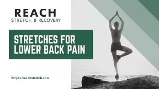 Stretches for Lower Back Pain - Reach Stretch & Recovery Agency