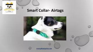 Best Smart Collars Tracking  Gifty Dog Store