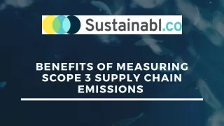 benefits of measuring scope 3 supply chain