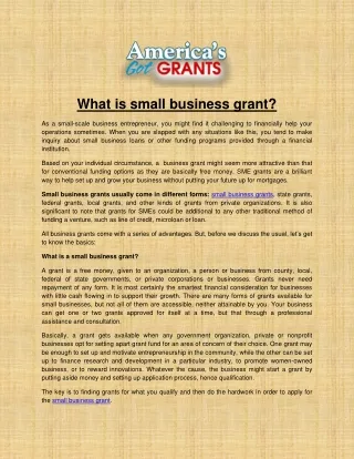 what is small business grant