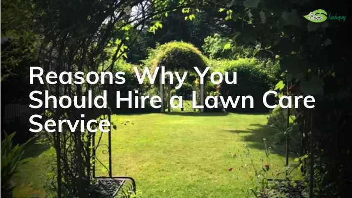 reasons why you should hire a lawn care service