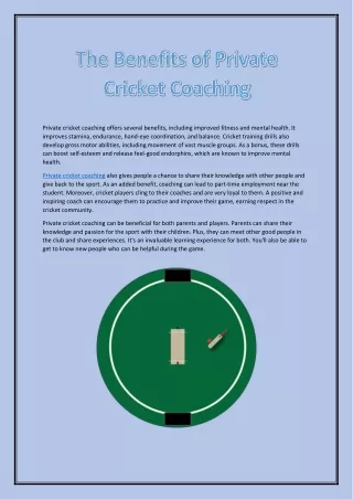 Why Private Cricket Coaching is Important? | Blues Cricket Academy