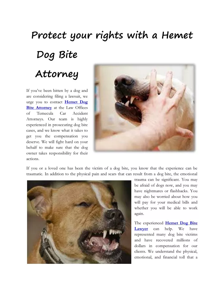 protect your rights with a hemet dog bite attorney