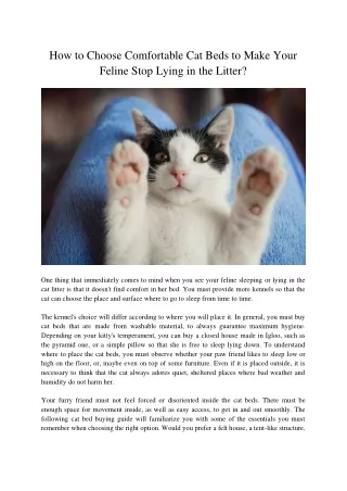 how to choose comfortable cat beds to make your