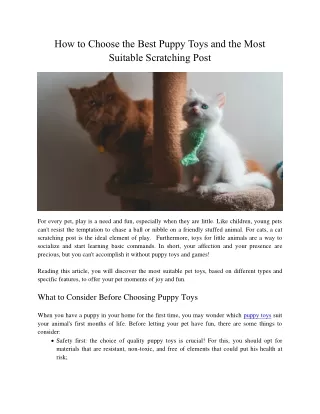 how to choose the best puppy toys and the most