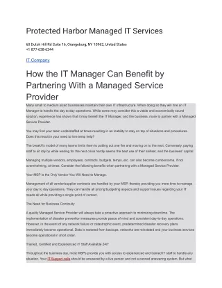 protected harbor managed it services