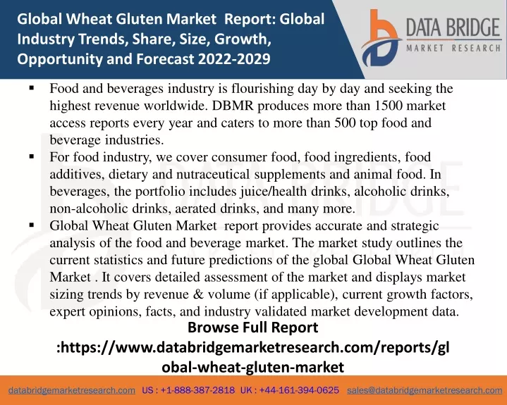 global wheat gluten market report global industry