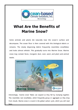 What Are the Benefits of Marine Snow