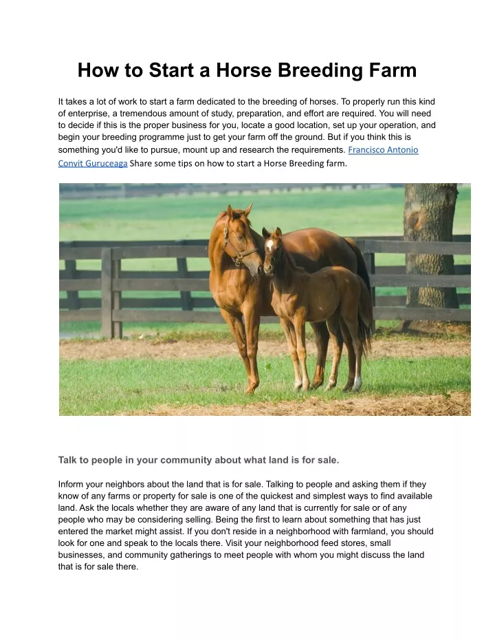 how to start a horse breeding farm