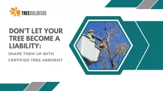 Don't Let Your Tree Become A Liability Shape Them Up With Certified Tree Arborist